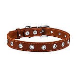 Нашийник для собак Collar безрозмірний (ширина 20 мм, довжина 50 см), фото 2