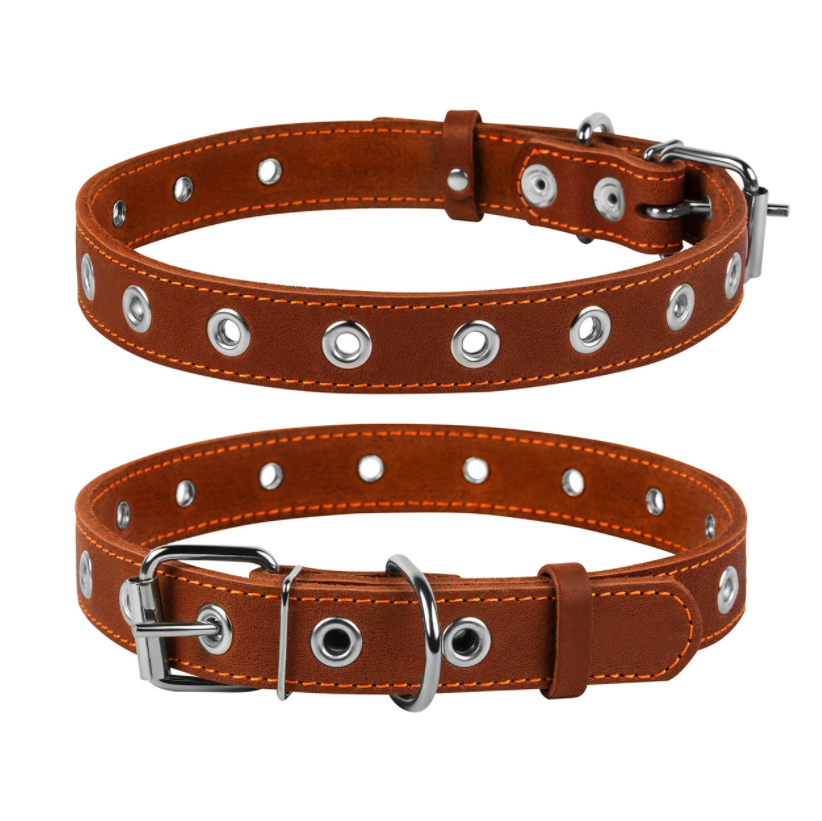 Нашийник для собак Collar безрозмірний (ширина 20 мм, довжина 50 см), фото 1