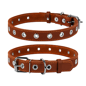 Нашийник для собак Collar безрозмірний (ширина 20 мм, довжина 50 см)