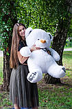 Самий величезний Плюшевий ведмедик 120см в подарунок для дівчини М'яка Іграшка Великий плюшевий ведмідь білий, фото 2