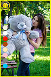 Плюшевий ведмедик м'яка іграшка Томии 100 см Сірий, фото 2