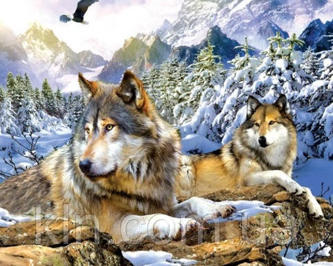 Алмазна вишивка на підрамнику Пара вовків у лісі 50 х 40 см (арт. TN1019), фото 1