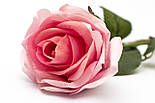 Штучна троянда-гілка, тканина, пластик, 64 см, світло-рожева (630119), фото 2
