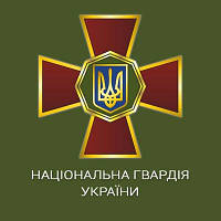 Погони НГУ парадні на липучці (темно-сині)