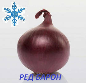 Озима цибуля сіянка Ред Барон 8/21 1кг / Broer