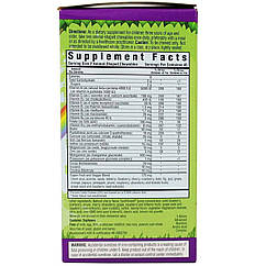 Мультивітаміни для Дітей, Смак Винограду, Rainforest Animalz, Bluebonnet Nutrition, 90 жувальних цукерок