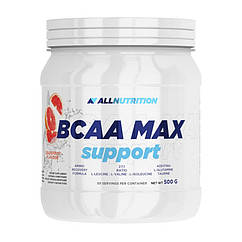 БЦАА AllNutrition BCAA Max (500 г) алл Нутришн orange
