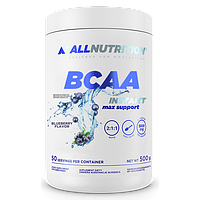 БЦАА AllNutrition BCAA Max Support Instant (500 г) алл нутришн макс саппорт Bllueberry