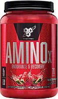 БЦАА BSN BCAA Amino X (1,01 кг) бсн амино икс х Арбуз