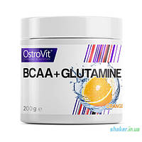 БЦАА OstroVit BCAA + Glutamine (200 г) островит с глютамином lemon