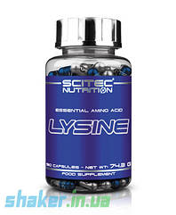 Лізин Scitec Nutrition Lysine (90 капс) Скайт Нутришн