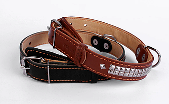 Нашийник Collar (для собак, подвійний з узором ромб 25мм/38-50см)