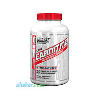 Л-карнитин Nutrex Lipo 6 Carnitine (120 капс) нутрекс