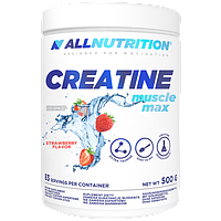 Креатин моногидрат AllNutrition Creatine Muscle Max - 500g Lime алл нутришн