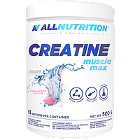 Креатин моногидрат AllNutrition Creatine Muscle Max - 500g Orangeade алл нутришн