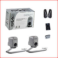 FAAC 391 автоматика для розпашних воріт ричажна