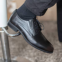 Туфли-броги мужские кожаные цвета коричневый кабир