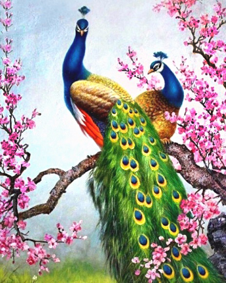 Алмазна мозаїка Пара павичів у сакурі My-Art TN1022 (40 x 50 см) на підрамнику, фото 1