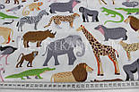 Сатин "Зоопарк" на білому тлі № 160-65 з, фото 4