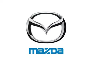 Петля двері задня верхня права Mazda CX-9 16 - KD5372210A