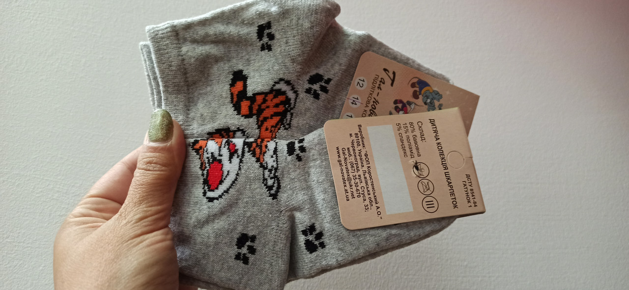 Дитячі шкарпетки, демісезон. р.14, фото 1