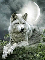 Набор Алмазная мозаика вышивка 30х40 "Волк под луной " (квадратные стразы, полная выкладка, на подрамнике)
