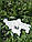 Ігрова фігурка HEGA Вівця кольорова, фото 7