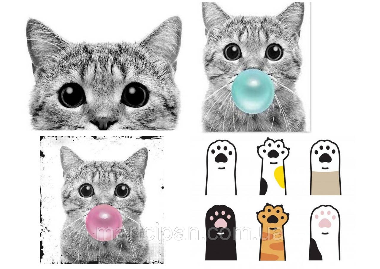 Котики,Коти, Кішки Вафельна картинка на торт, фото 1