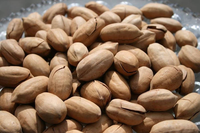 Купить Орех Пекан в скорлупе жареный, 1 кг, цена 530 ₴ — Prom.ua (ID ...