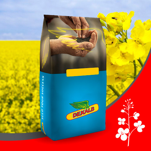 Насіння озимого ріпаку Monsanto ДК Ексайтед Dekalb
