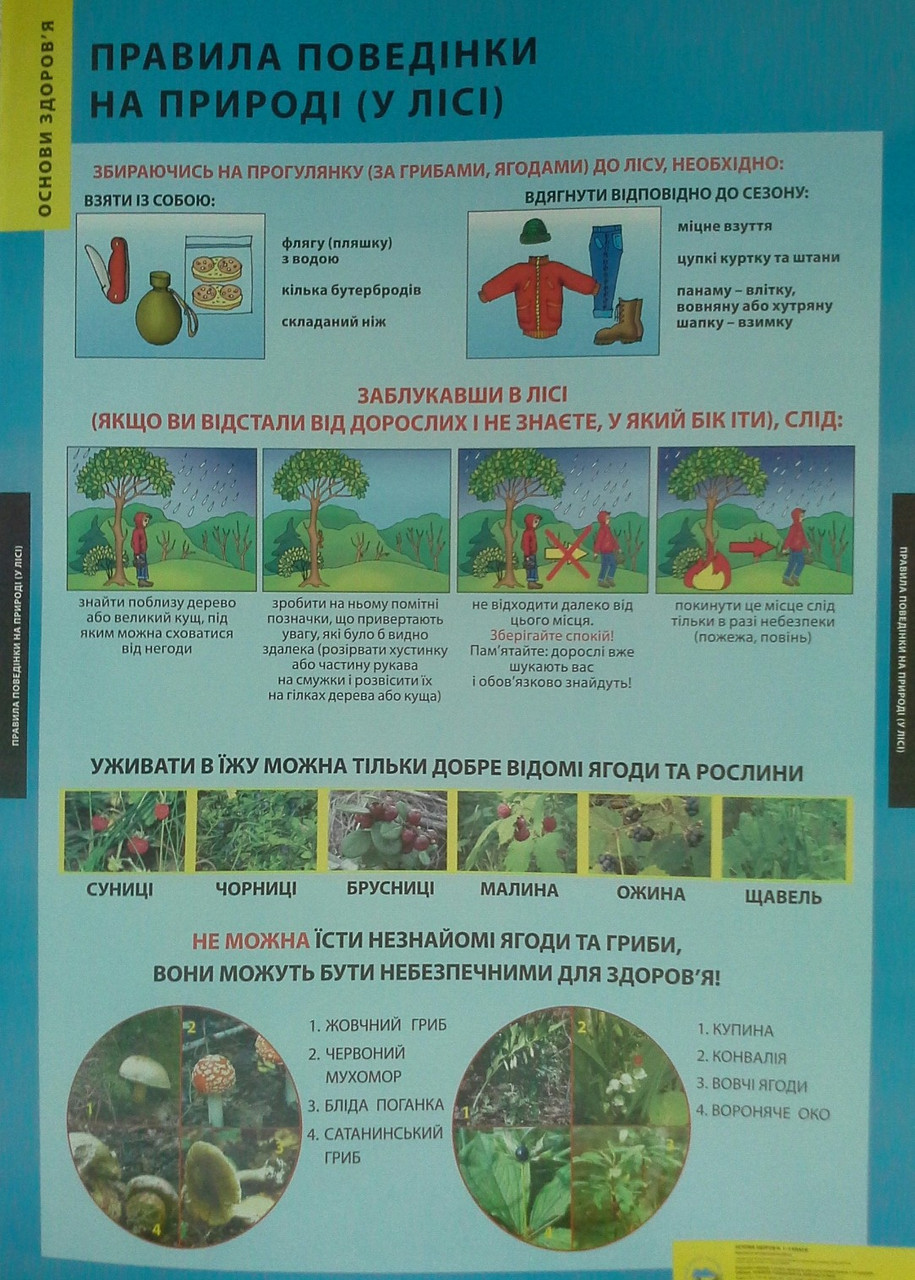 Плакат Правила поведінки на природі (у лісі)  Генеза