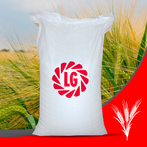 Насіння ячменю озимого Пасо Лімагрейн, фото 1