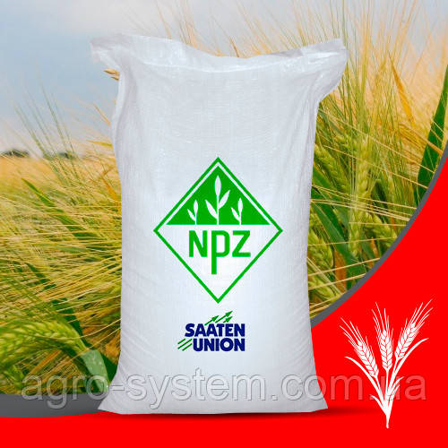 Озимий ячмінь ЗУ Джулі ЗААТЕН Уніон, фото 1