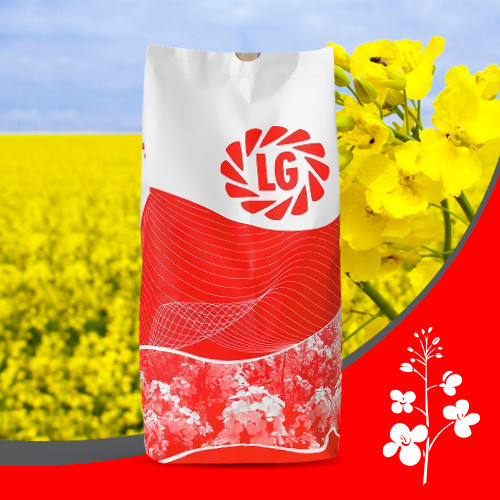 АЛЕКСАНДЕР, фото 1