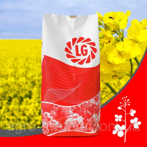 АРКАНЗАС, фото 1