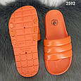 Жіночі гумові шлепанці сланці "Полоски" різні кольору, фото 7