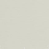 Декоративна однотонна тканина молочного кольору з тефлоном TDRE-81002, фото 3