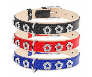 Нашийники Collar Brilliance