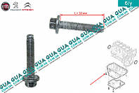 Болт олійного піддона M6x30 (1 шт.) 9684043380 Citroen/СІТРОЕН JUMPY III 2007-/ДжемПІ 3, Peugeot / ПІЖО