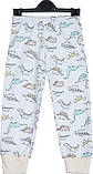 Дитяча піжама "Динозаври" ( кофта+штани) ТМ СюЗаНа, фото 3