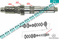 Вторичный вал КПП 6-ти ступенчатой ( механической коробки переключения передач ) A2032630301 Mercedes /