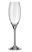 Набір келихiв скло "Bohemia Carduelis" (6шт) 290мл (шампанське) №1SF06/00000/290(8)