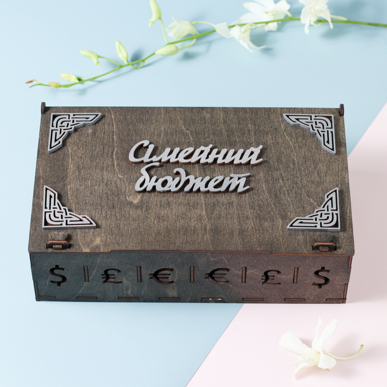 Сімейний бюджет. Скарбничка для грошей на 6 секцій 300х115х190мм, фото 1