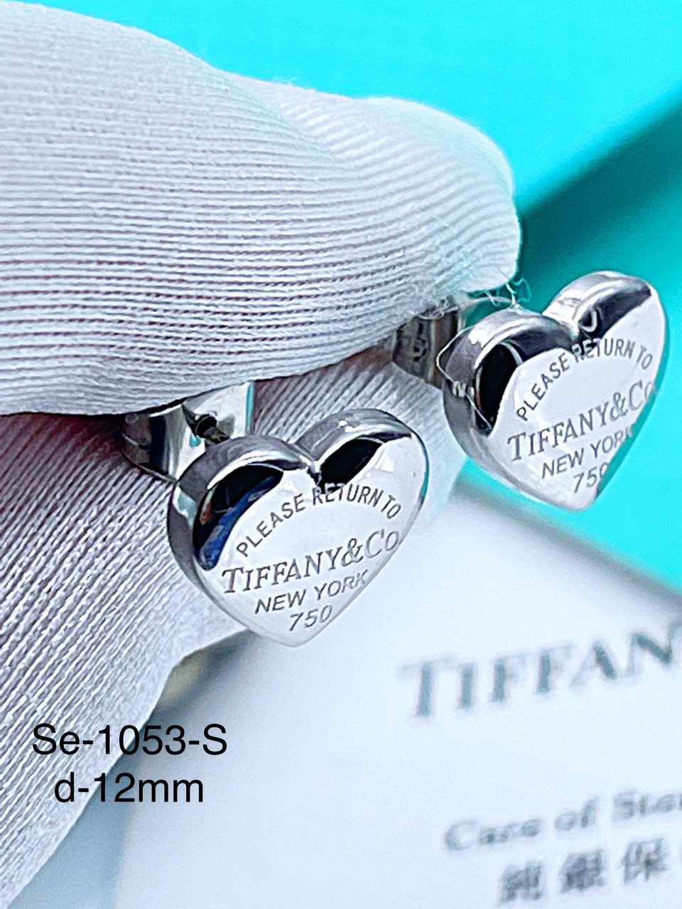 Сережки Stainlees steel