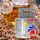 Справжні - Кодзі Ангел (Kodzi Angel) дріжджі для зерна (зернової сировини) 500 гр, фото 2