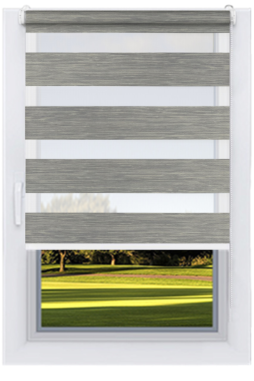 Ролета День ніч Монет Лофт, фото 1