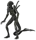 Фігурка NECA ALIEN AvP (Alien vs. Predator. Чужий проти Хижника). Warrior Alien, фото 4