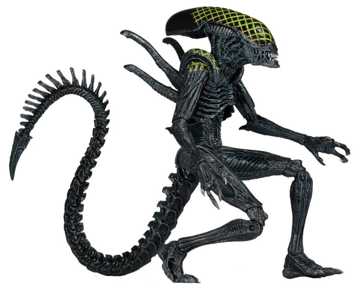 Фігурка NECA ALIEN AvP (Alien vs. Predator. Чужий проти Хижника). Grid Alien