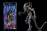 Колекційна фігурка Neca Чужий Скорпіон Scorpion Alien, фото 3