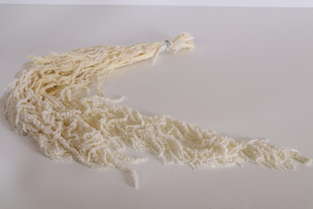 Білий Амарант стабілізований 40-70 см, фото 1